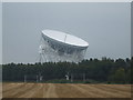 Field  towards Jodrell Bank