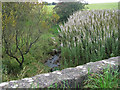 Hareshawmill Bridge