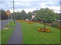 Colourful verge on Pisca Lane