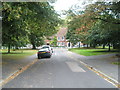 Looking down Glenthorne Meadow towards the High Street