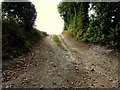 Footpath to Nonington