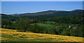 Ettrick Valley from  B7009 just outside Selkirk