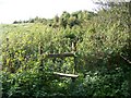 Footpath, Chantry