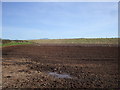 Farmland near Westnewton