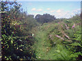 Public footpath near Pasture Farm