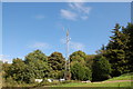 Mobile phone mast on the Kymin