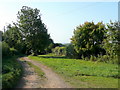 Track past Lower Apperley Farm