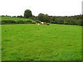 Lislea Townland