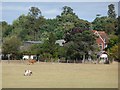 Poplar Farm from Hitcham Road