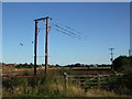 TF5181 : Birds on transmission lines at Alford Road by Richard Hoare