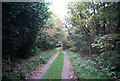 Greensand Way, Crockham Hill Common