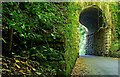 Railway bridge, Crawfordsburn Glen