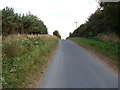 Lane near Riggs Head Farm