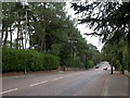 Branksome Park, Canford Cliff Road