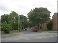 Cottingley Crescent - Cottingley Drive