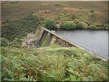 NT5062 : Stobshiel dam by Richard Webb