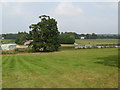 Looking north from footpath near Taintfield Wood