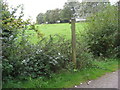 Sett Valley Trail - Footpath near Wildes Crossing Cottage