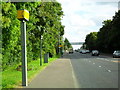 J3568 : Speed Camera, Saintfield Road, Belfast by Dean Molyneaux