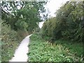 Shrewsbury Canal