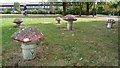 The Beanhill Toadstools, Milton Keynes.