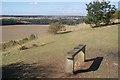 Bench on Darland Banks