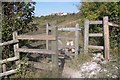 Kissing Gate in Darland Banks