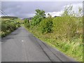G8036 : Road at Newtownmanor by Kenneth  Allen