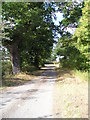 Lane to Wood Farm Grundisburgh