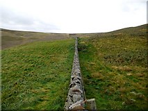 NT9628 : Wall on east side of Harehope Hill by Andrew Curtis