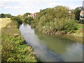 River Arun from Swan Bridge