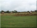 Common land below Twmpa: bales of grass and bracken