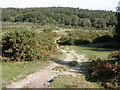 Boundway, footpath