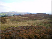 SH9820 : Moorland above Llyn Efyrnwy by Richard Law