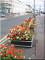 Burnham Promenade Flowers