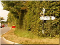 ST8324 : Motcombe: Motcombe Turnpike signpost by Chris Downer
