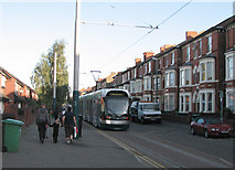 SK5541 : Tram on Noel Street by John Sutton