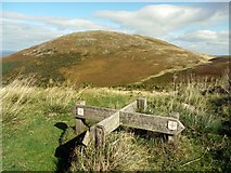 NT9228 : Footpath Junction on St Cuthbert's Way by Andrew Curtis