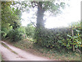 Farm track and footpath