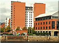 Pilot Street apartments, Belfast (3)