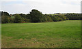 Field boundary near Shutterton Lane