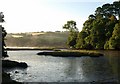 Creek by the Avon