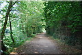 Medway Valley Walk north of Maidstone