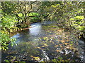 The River Fowey at Trekeivesteps