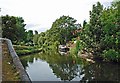 The Stourbridge Canal