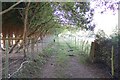 Footpath towards Lower Crowbourne Farm