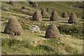 Traditional Hebridean haystacks