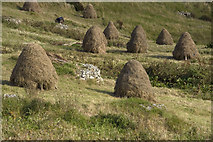 NB3811 : Traditional Hebridean haystacks by Tom Richardson