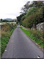 Lane passing Millbeck