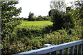 Farmland beside the River Mole, Horley